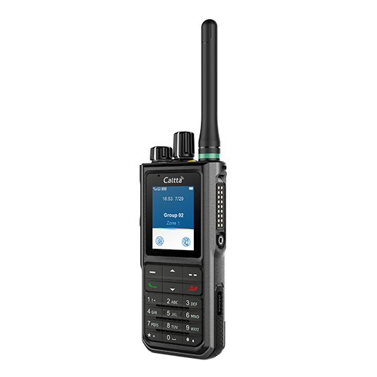 Caltta Digital Radio PH690